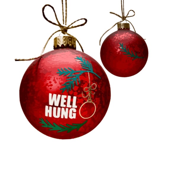 WELL HUNG- HANDMADE CHRISTMAS GLASS RED ORNAMENT - Picture 13 of 16